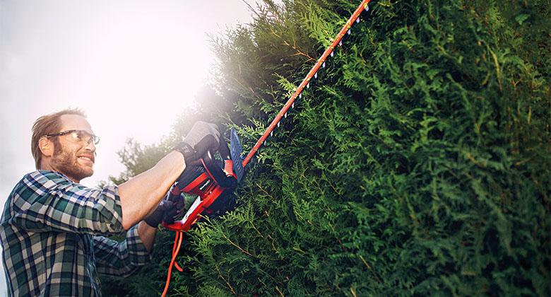 Le taille-haie Einhell pour votre jardin !